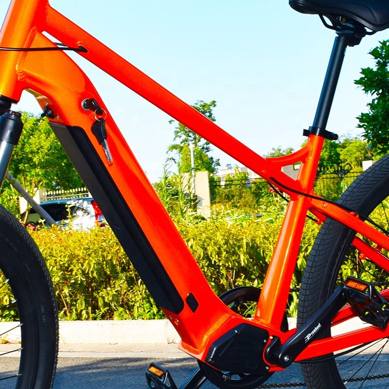 RaiderRace-802 New Design China Factory E Bike 48v Electric Mountain Bike 500w 26 Inch Electric Electric fat tire bike bicycle
