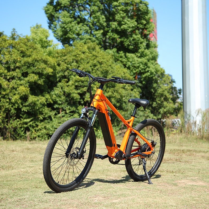 RaiderRace-802 New Design China Factory E Bike 48v Electric Mountain Bike 500w 26 Inch Electric Electric fat tire bike bicycle