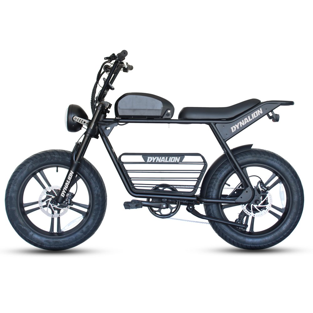 Super powerful Long Range Dirt Mountain 73 Fat Tire E bike E Bike Electric Bicycle