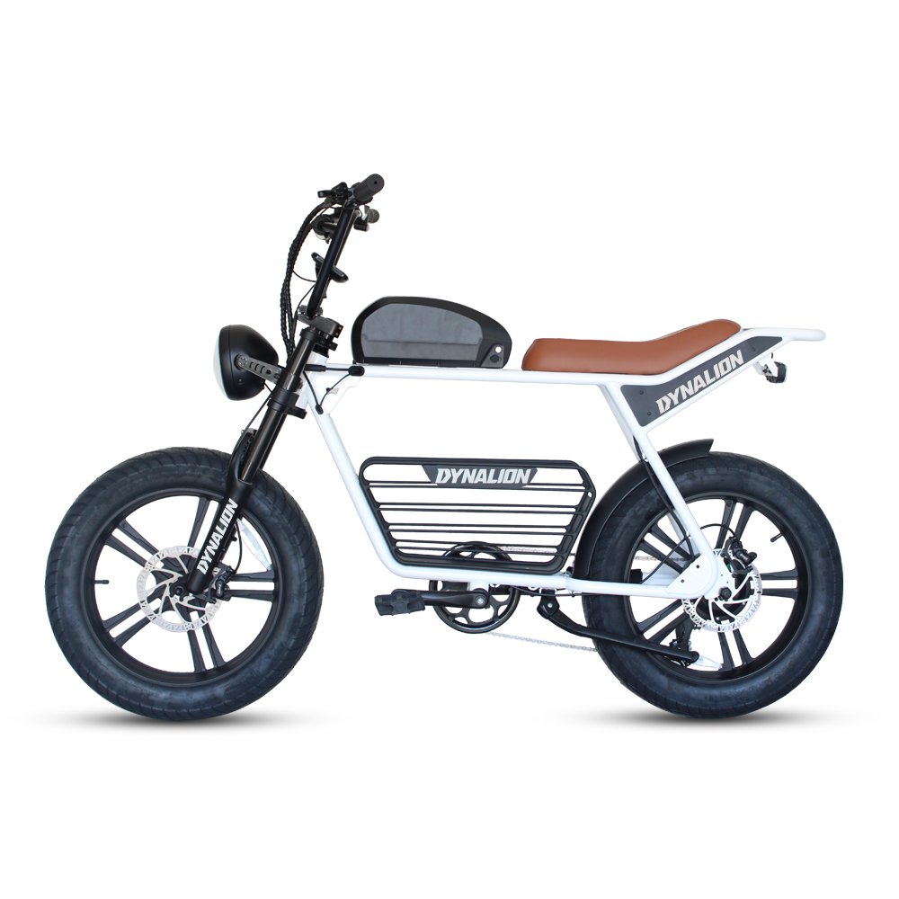 Super powerful Long Range Dirt Mountain 73 Fat Tire E bike E Bike Electric Bicycle