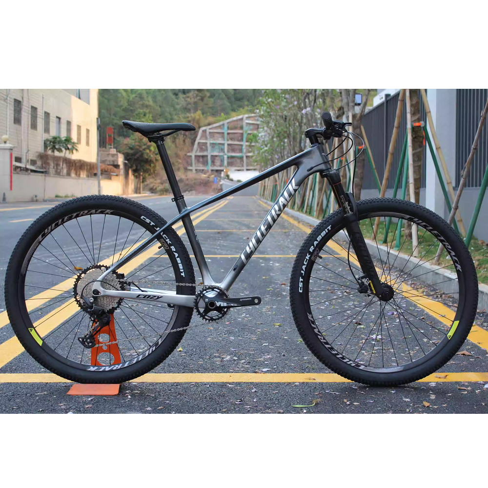 Cycletrack Factory Direct Sell COZY 12 Speed Carbon Fiber MTB Bicycle 29 Inch Carbon Mountain Bike for Adults