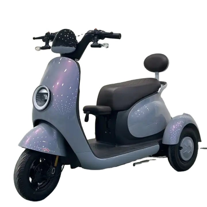 48V 800W Electric Tricycle for Adults Manned Electric Tricycles with Open Body 3-Wheel Electric Vehicle