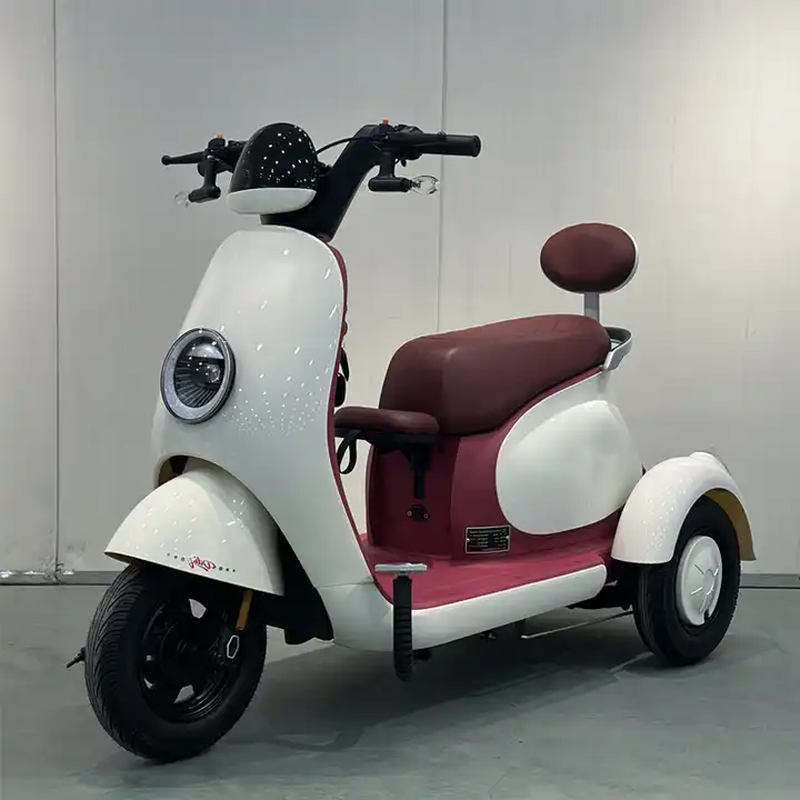 48V 800W Electric Tricycle for Adults Manned Electric Tricycles with Open Body 3-Wheel Electric Vehicle