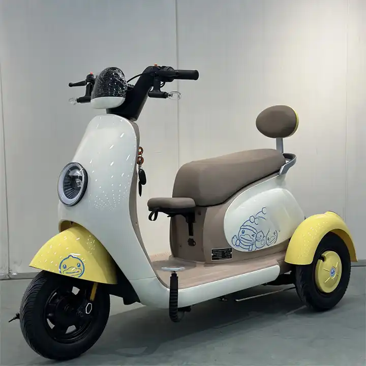 48V 800W Electric Tricycle for Adults Manned Electric Tricycles with Open Body 3-Wheel Electric Vehicle