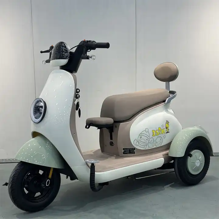 48V 800W Electric Tricycle for Adults Manned Electric Tricycles with Open Body 3-Wheel Electric Vehicle