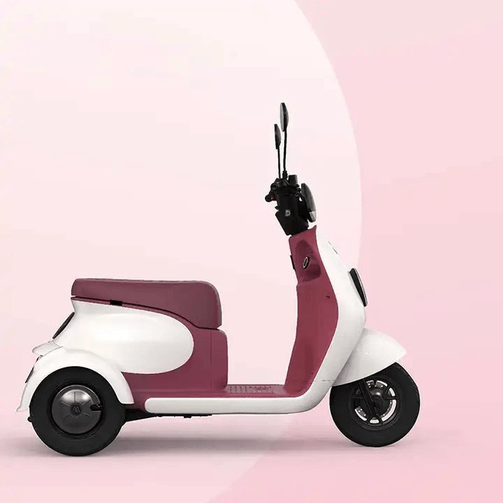 48V 800W Electric Tricycle for Adults Manned Electric Tricycles with Open Body 3-Wheel Electric Vehicle