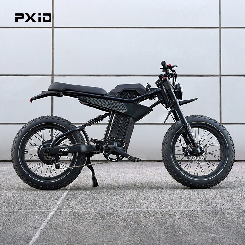 PXID MANTIS P6 20 inch fat tire e-bike all electric mode single speed electric city bike