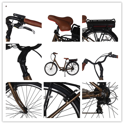 Special price city electric bike with EN15194 for students