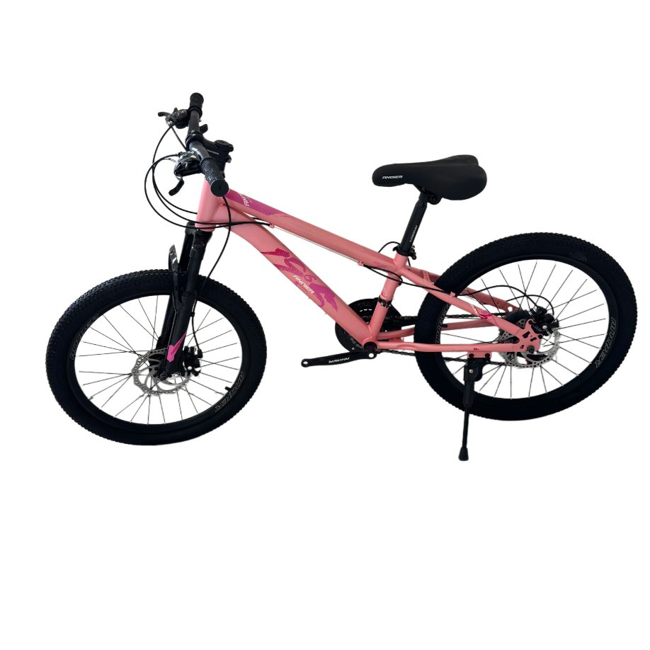 Small Double Suspension Mountain Bike with 21-Speed for Navigating Straight Paths