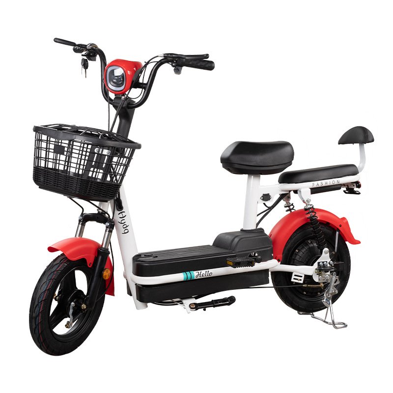 China's New 48V 350W Electric 2-Seater City Bicycle Speeds up to 30km/h Equivalents to 60 miles/h High Performance Electric Bike
