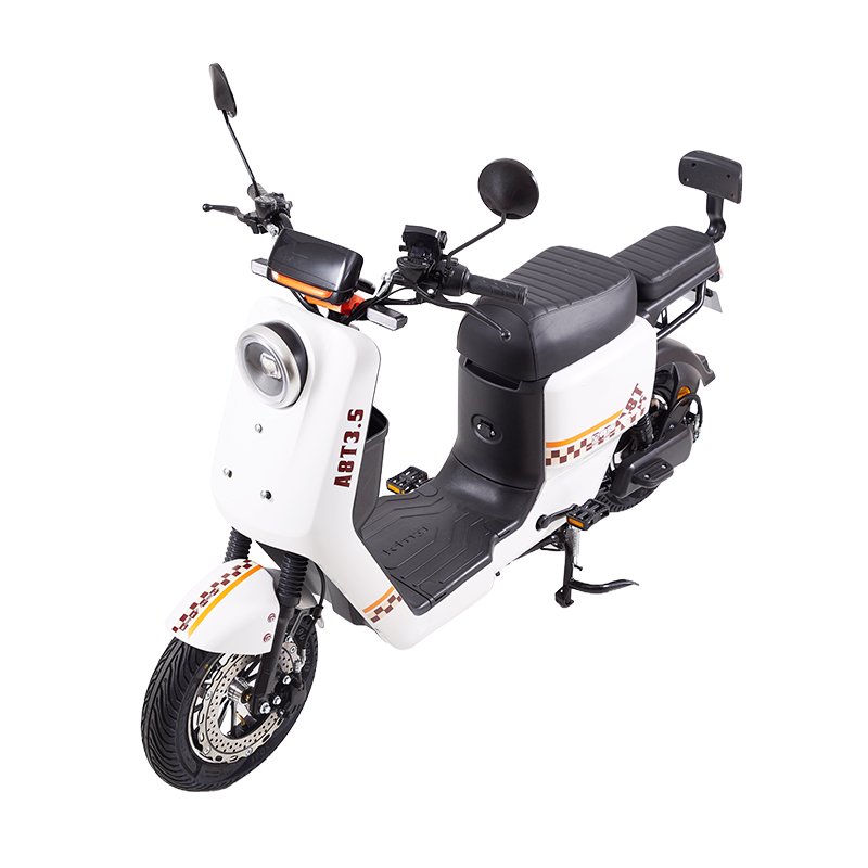 2025 electric cargo bike 1000w 48v 20/30/50AH removable battery electric moped/loading electric bicycle with pedals