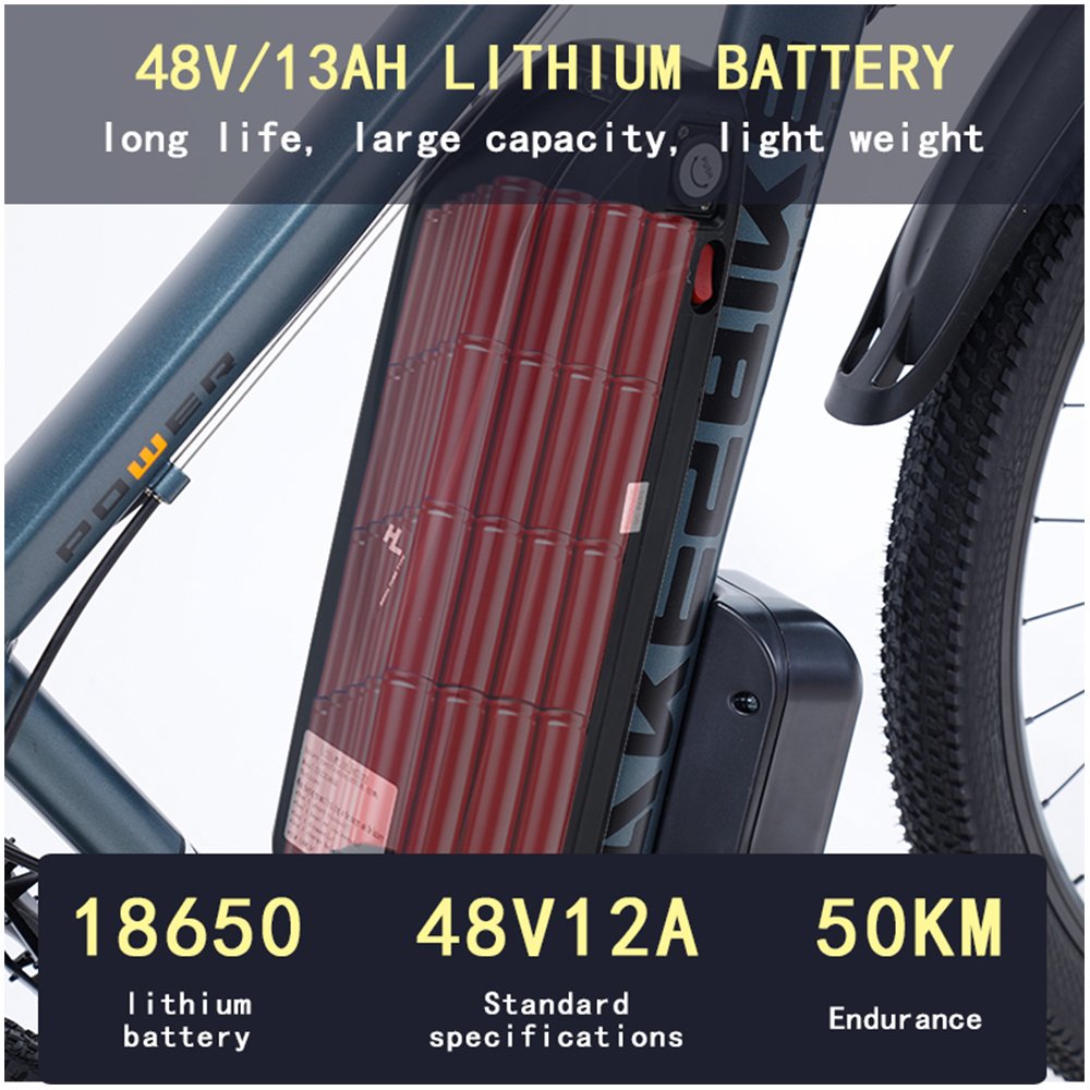 29 inch Aluminum Frame Electric Mountain Bike 1000W 48V Electric Bike 21 Speed Adult Bicycle