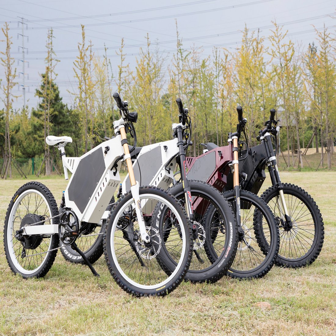 Popular 3000w 5000w 8000w 12000w electric bicycle with long range bike seat and colored display
