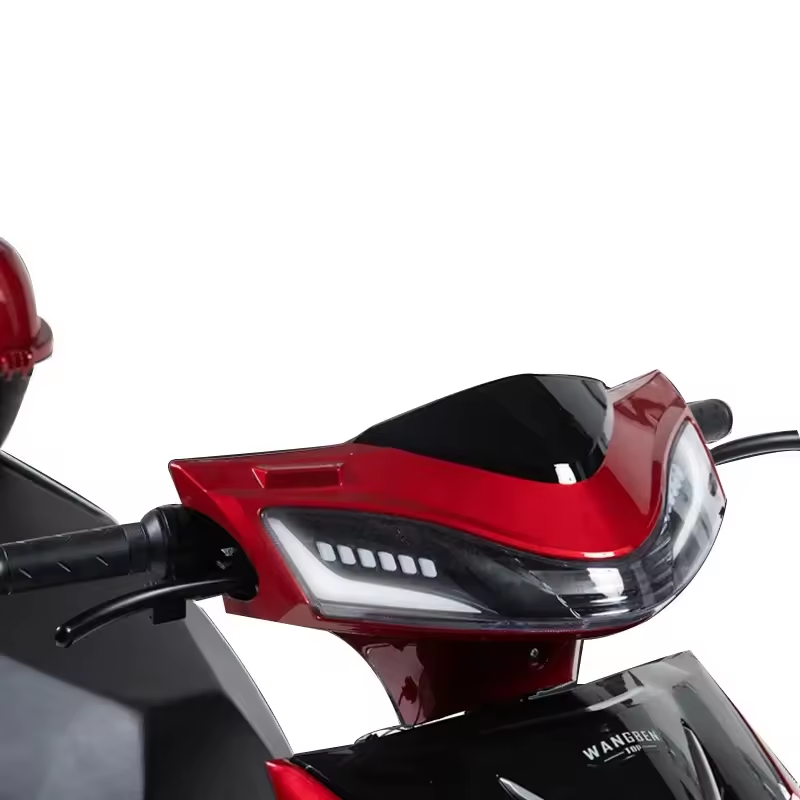 2024 Best Price High Quality Electric Scooters for Adults 800W 1000W Electric Motorcycles with fat tire