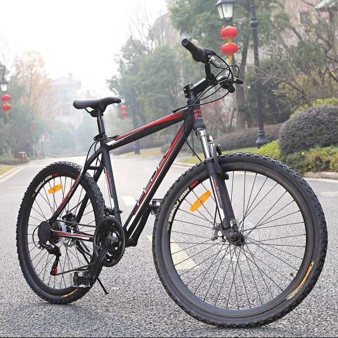 Mountain Bicycle