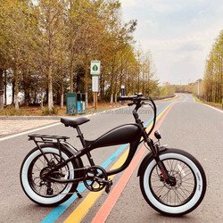 48V 500W 15AH
