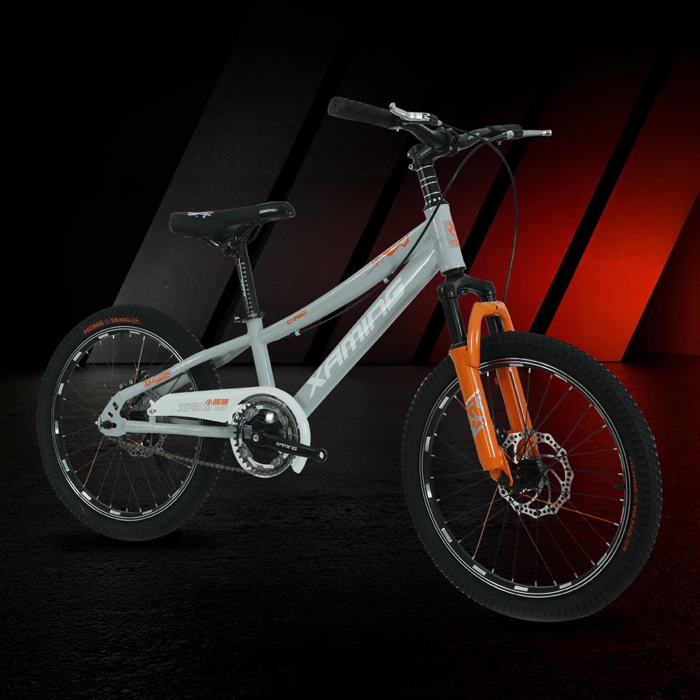 New 20-inch youth sports recreation mountain bike Multi-color made in China mountain bike