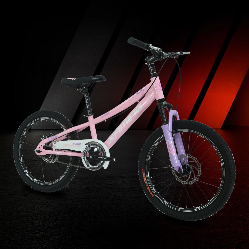 New 20-inch youth sports recreation mountain bike Multi-color made in China mountain bike