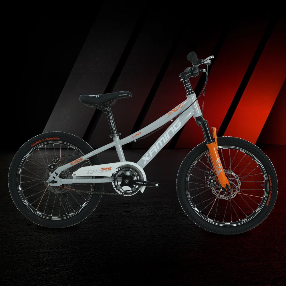 New 20-inch youth sports recreation mountain bike Multi-color made in China mountain bike