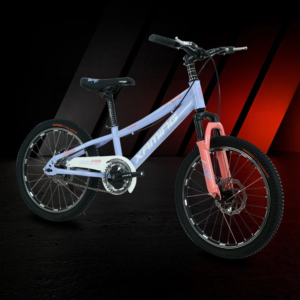 New 20-inch youth sports recreation mountain bike Multi-color made in China mountain bike