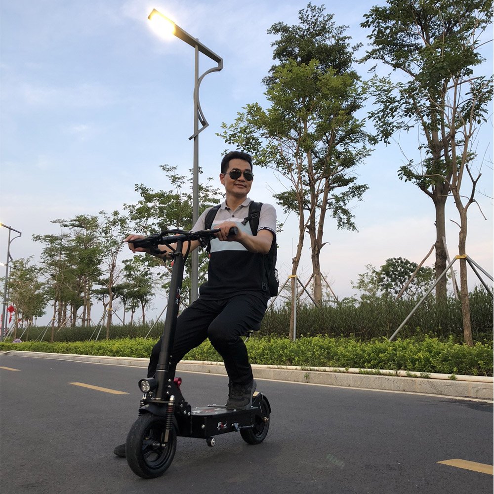 FLJ 10inch electric bike bicycle 48V 1200W bicycle mountain bike for lady/ Student