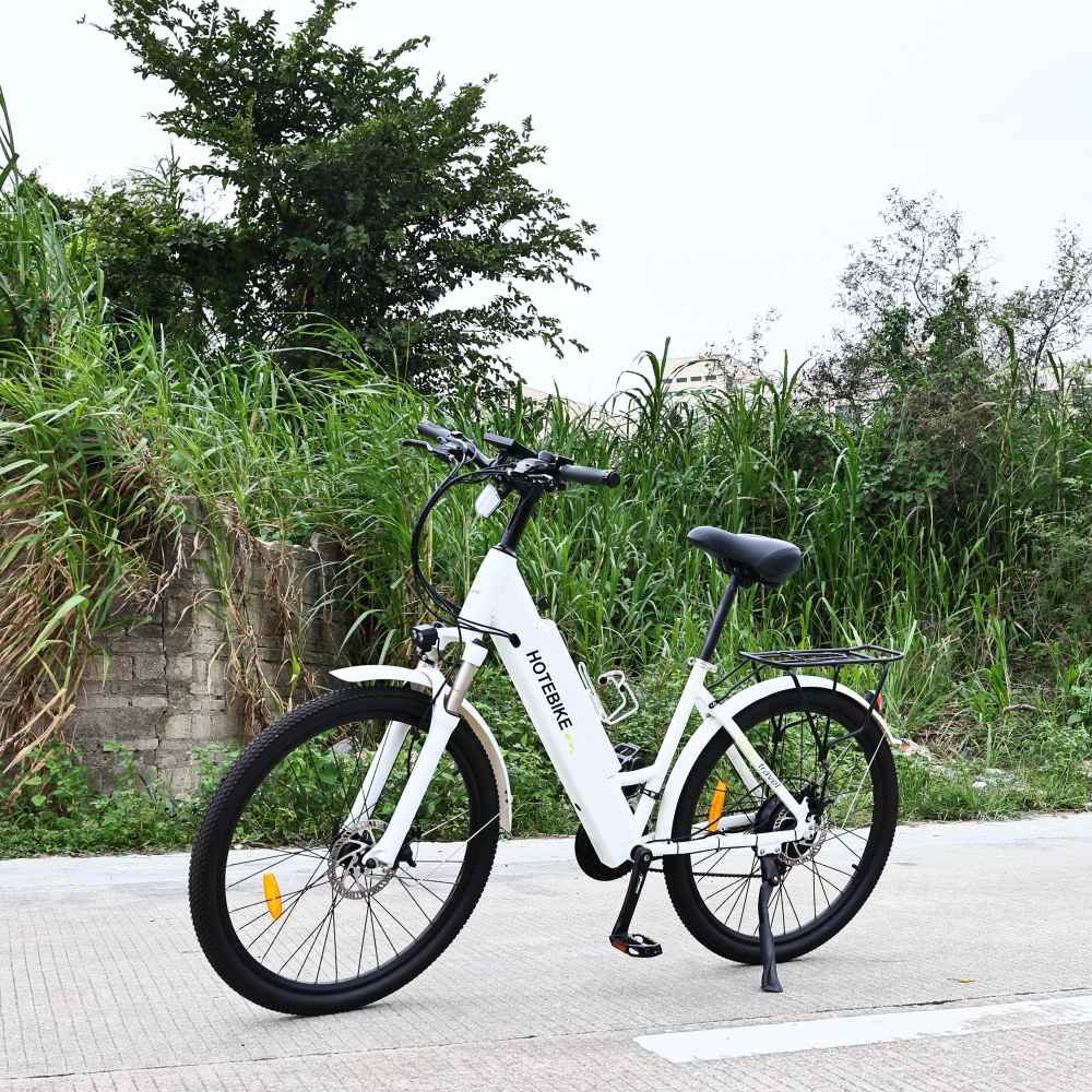 Warehouse Stock OEM ODM Cheap 250w 36v 48v Torque Sensor Hub Motor 2 Sets Electric City Bike Bicycle Ebike