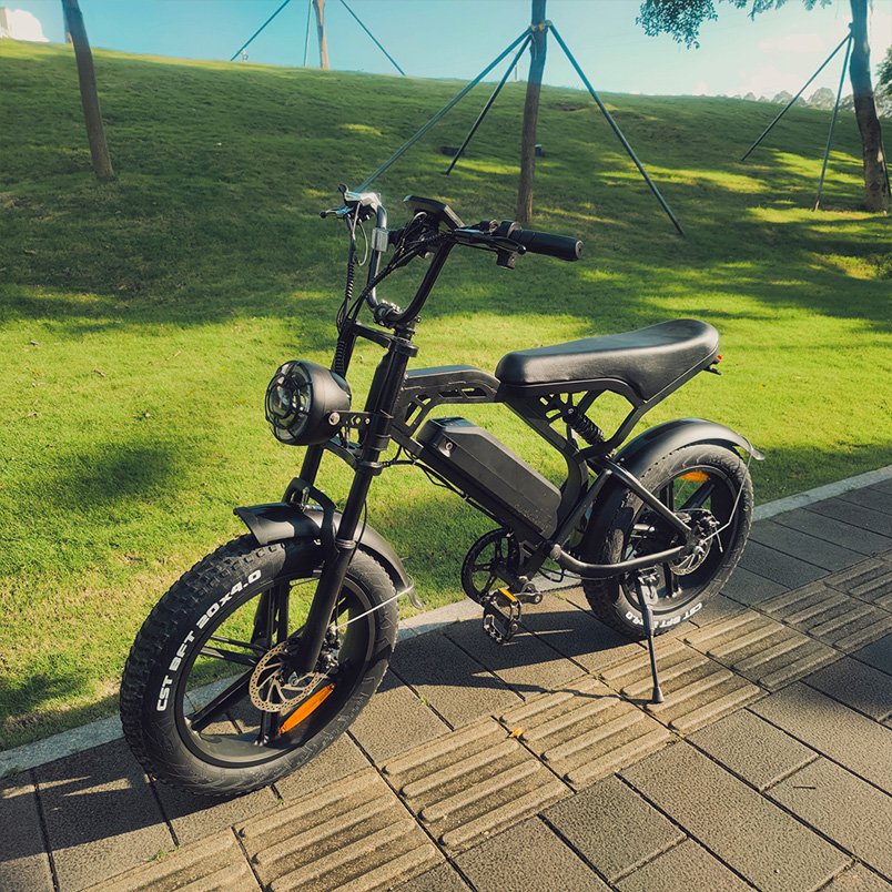 Warehouse Factory Electric Bicycle Kit Display Electric Chopper Bicycle Eu Usa Germany Battery Electric Bike 48v Steel V20 750W