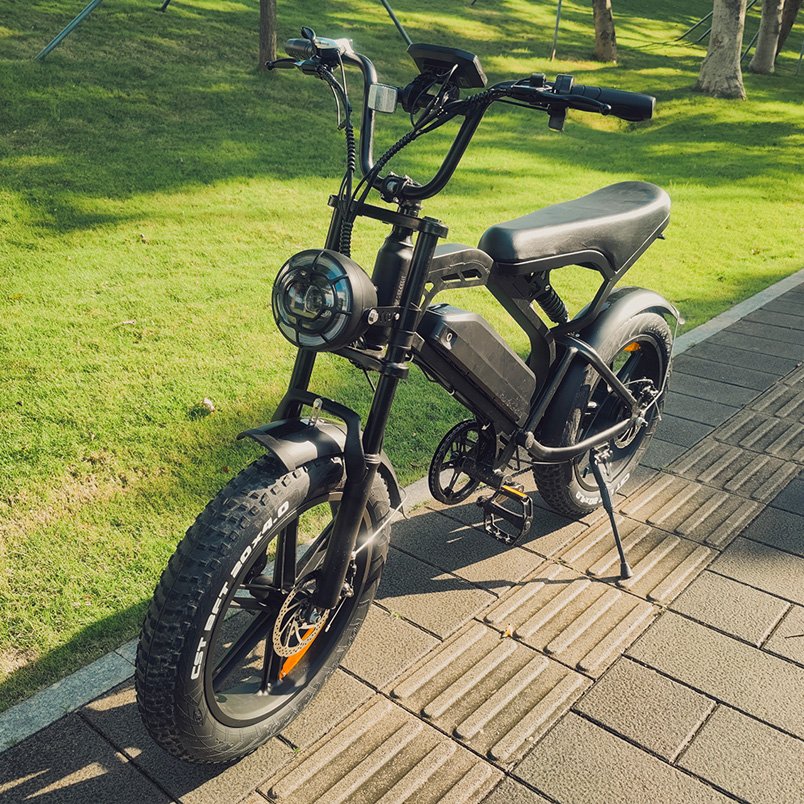 Warehouse Factory Electric Bicycle Kit Display Electric Chopper Bicycle Eu Usa Germany Battery Electric Bike 48v Steel V20 750W