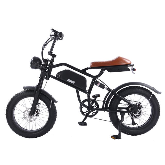 Cheap Price 48V Retro Ebike Fat Tire Mountain Electric Bicycle 20" fat tire electric bike