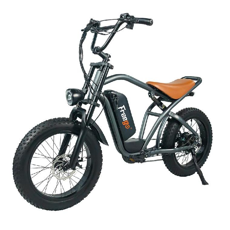 Electric Motorbike E Bike Suitable Fat Tire 48v 750w Motor Max Speed 25km/H Electric City Bike