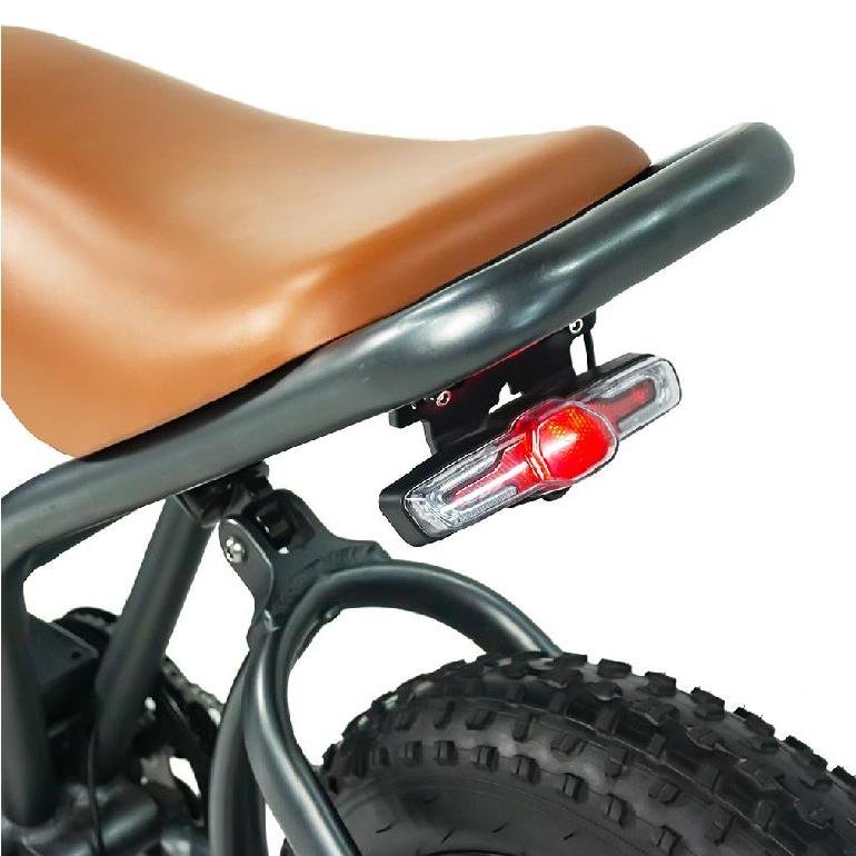 Electric Motorbike E Bike Suitable Fat Tire 48v 750w Motor Max Speed 25km/H Electric City Bike