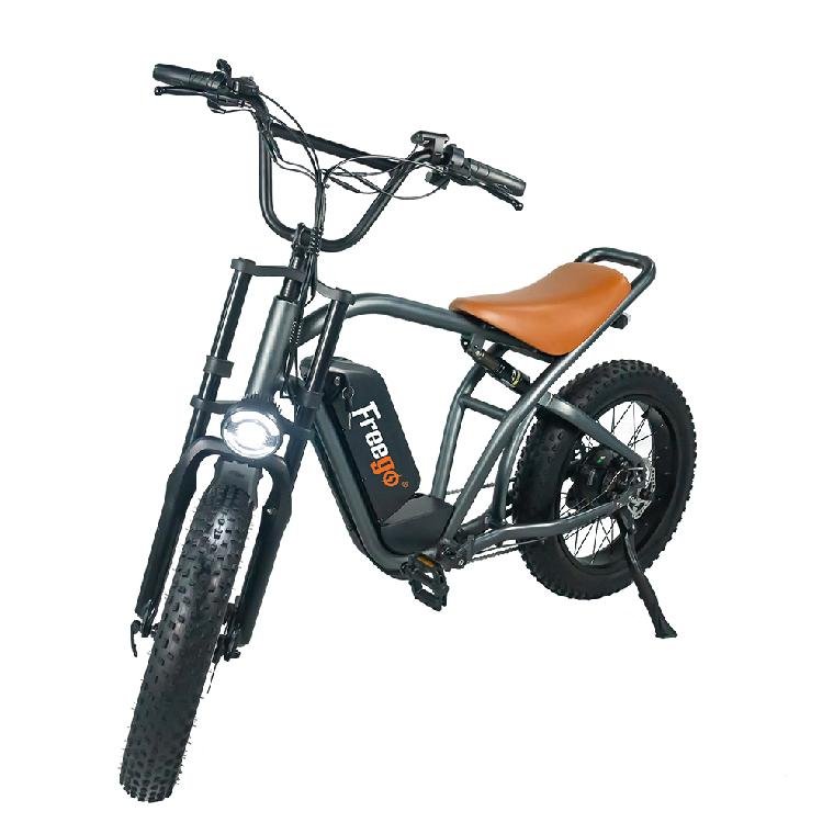 Electric Motorbike E Bike Suitable Fat Tire 48v 750w Motor Max Speed 25km/H Electric City Bike