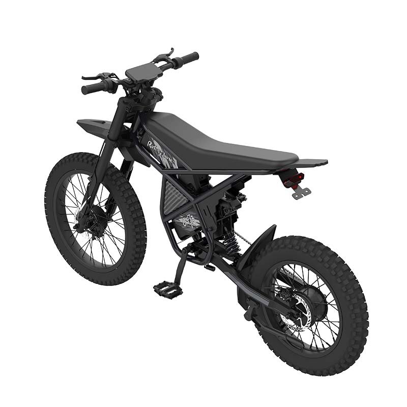 Riding'times GT73 All Terrain 25" Off-Road Tire Bike Electric Fat Tire Bike 2000W 50Km/H Electric Dirt Bike