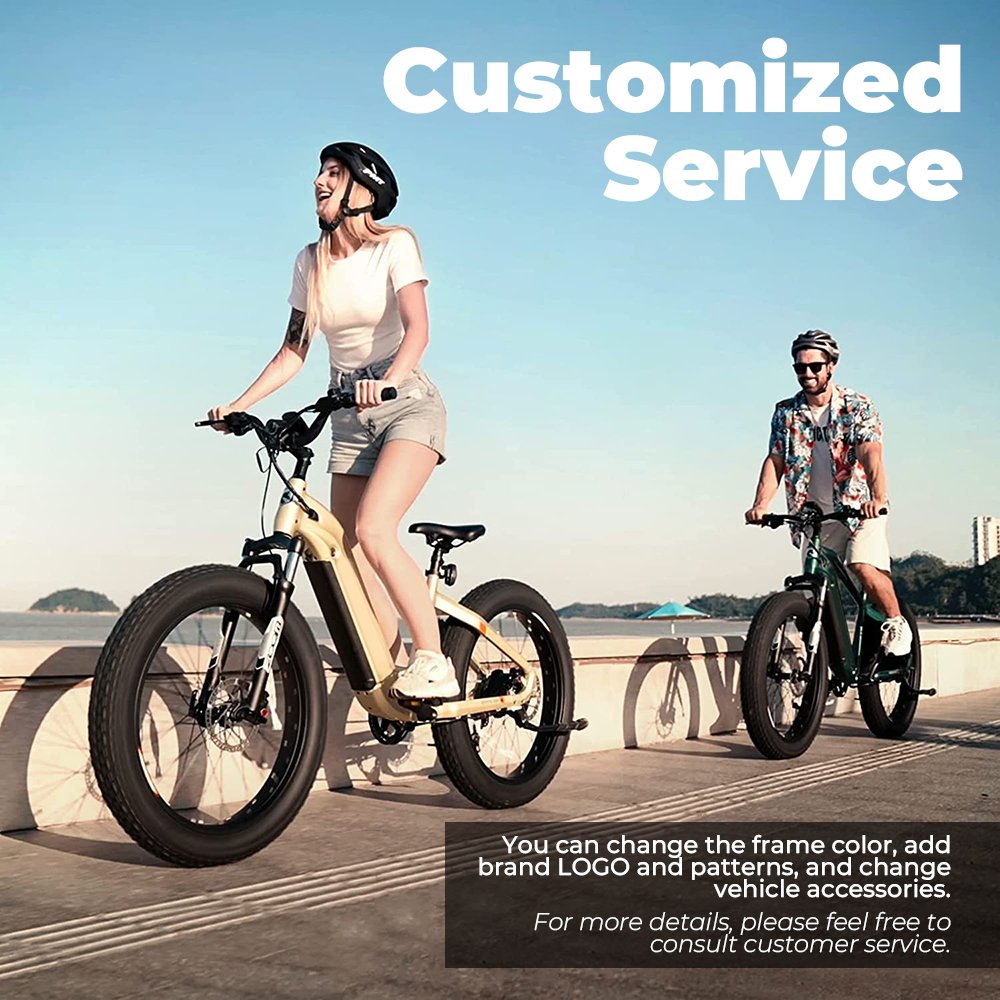 California Fatbike Electrische Hot New 26 Bike Mountain Bike 750 w Electric City Bike