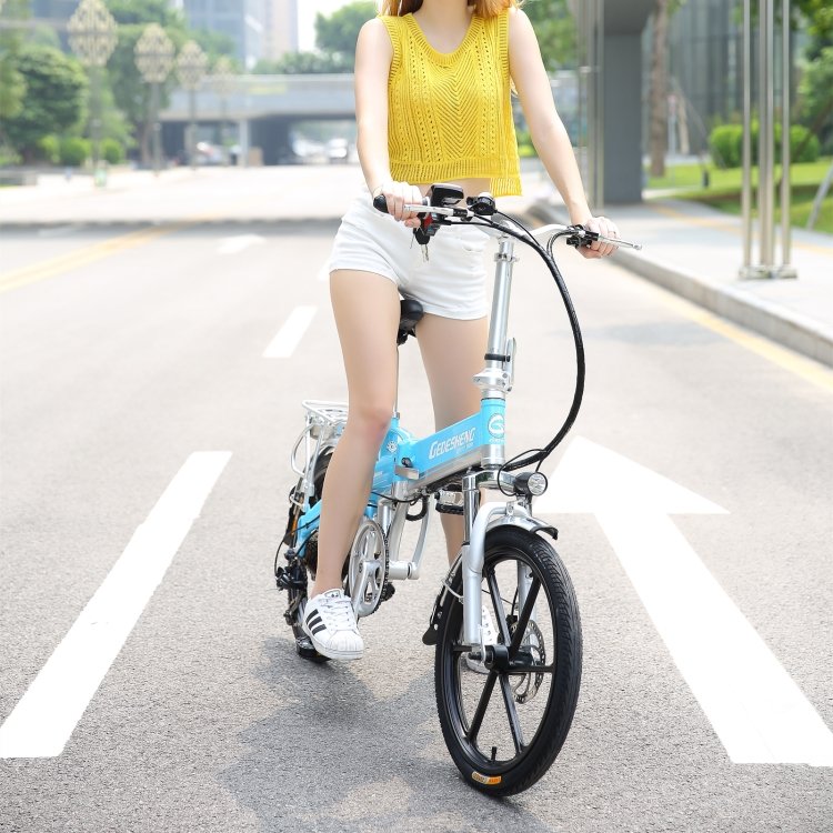 Ebike Foldable Electric Bicycle Electric Bike 300w Motor Lithium Battery Electric City Bike