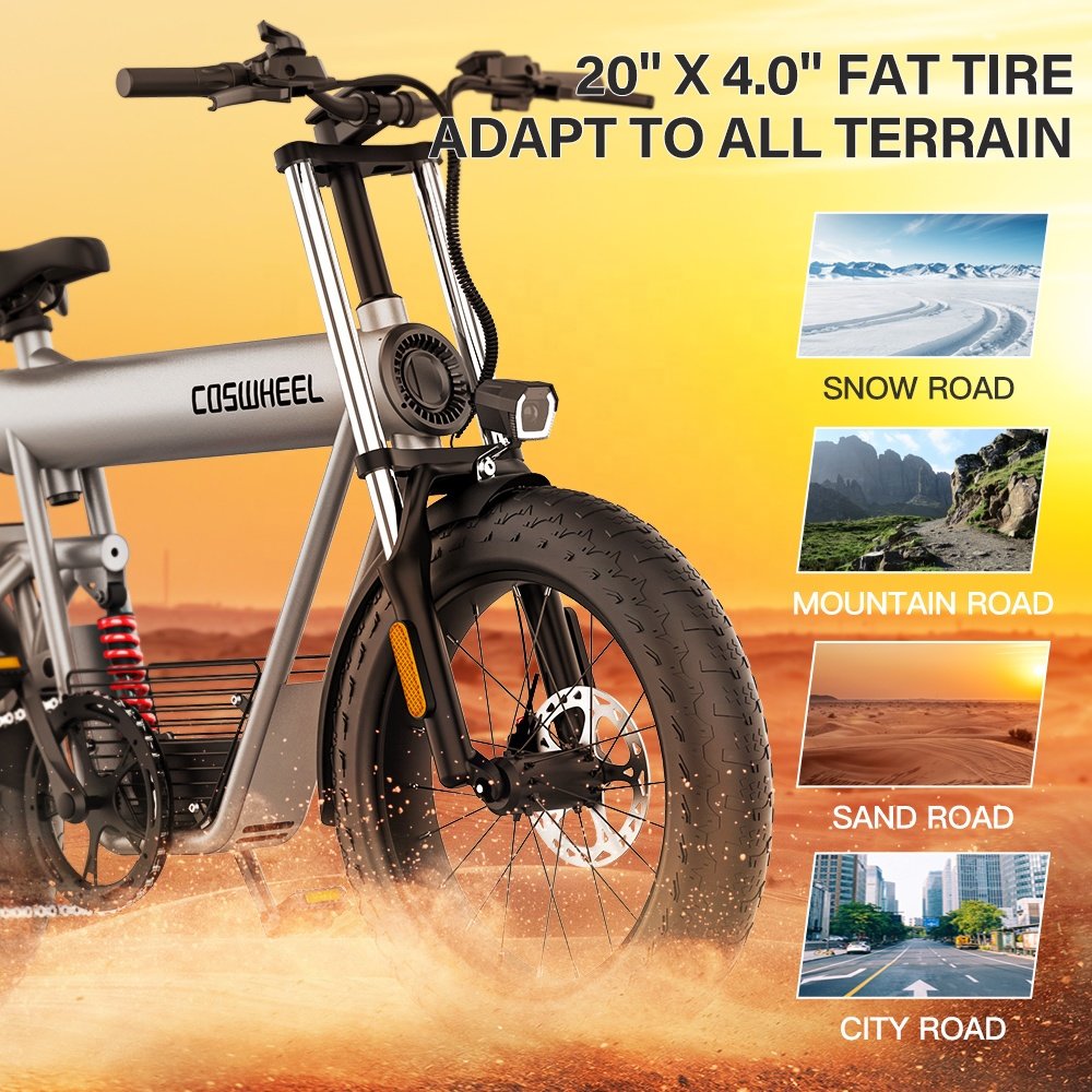 Professional Supplier Coswheel T20 Electric Bike 48V/1500W  High Speed City Electric Bike