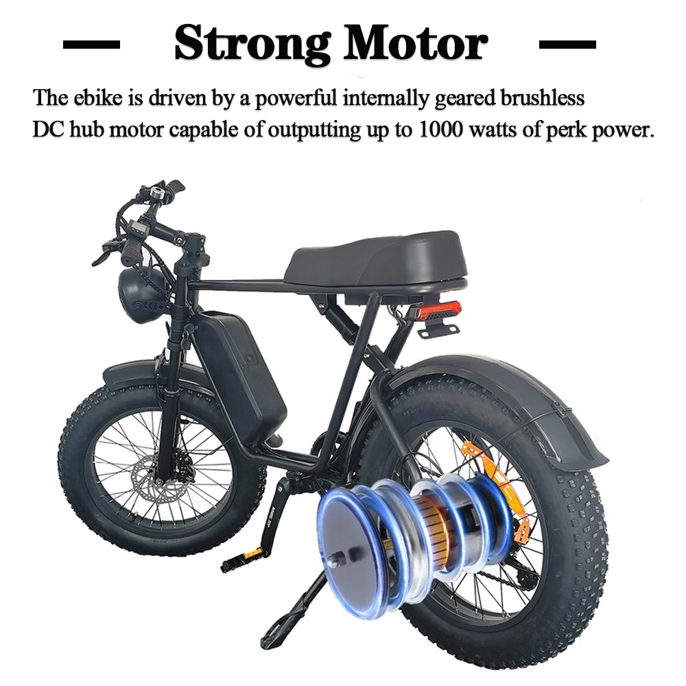 Factory Price 1000W Motor 20Inch Fat Tire Mountain Bike Electric Bicycle Lithium Battery EU Warehouse