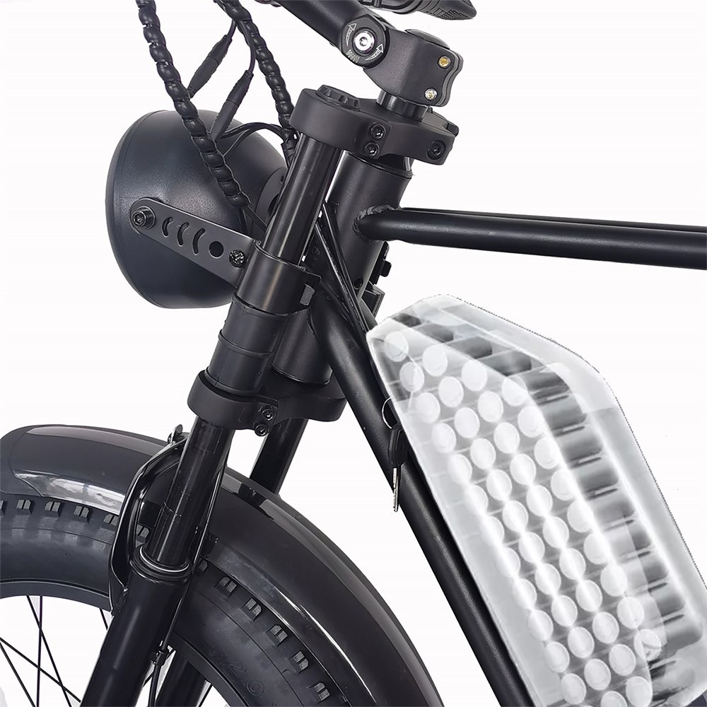 Factory Price 1000W Motor 20Inch Fat Tire Mountain Bike Electric Bicycle Lithium Battery EU Warehouse