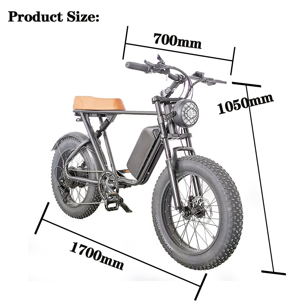 Factory Price 1000W Motor 20Inch Fat Tire Mountain Bike Electric Bicycle Lithium Battery EU Warehouse