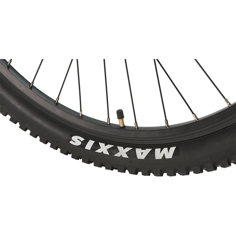 Factory direct good price 26 Inch effective 48V750W/1000W Motor Powerful Fat Tire Mountain Electric Bike
