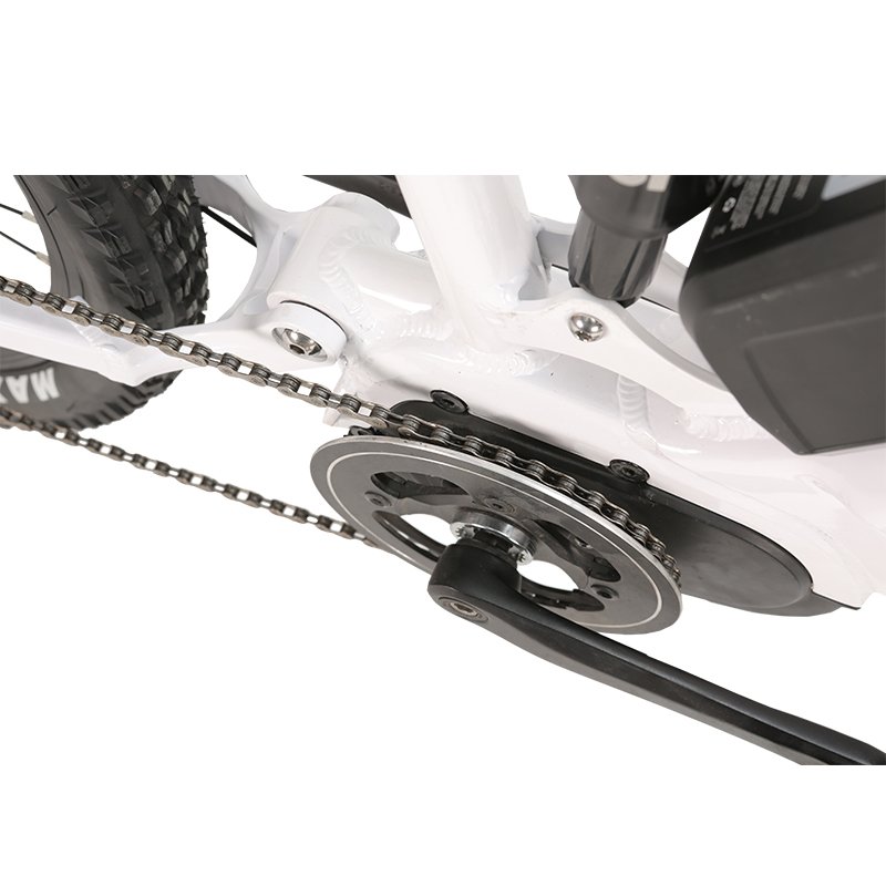 Factory direct good price 26 Inch effective 48V750W/1000W Motor Powerful Fat Tire Mountain Electric Bike