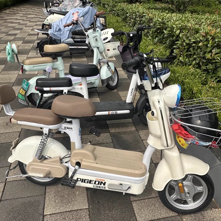 UK US EU Warehouse 12AH 14AH 16AH 20AH 24AH 100Km Cheap Women Adult 2 Seater Electric Bike City Electric Bike