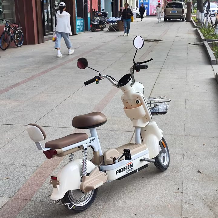 UK US EU Warehouse 12AH 14AH 16AH 20AH 24AH 100Km Cheap Women Adult 2 Seater Electric Bike City Electric Bike