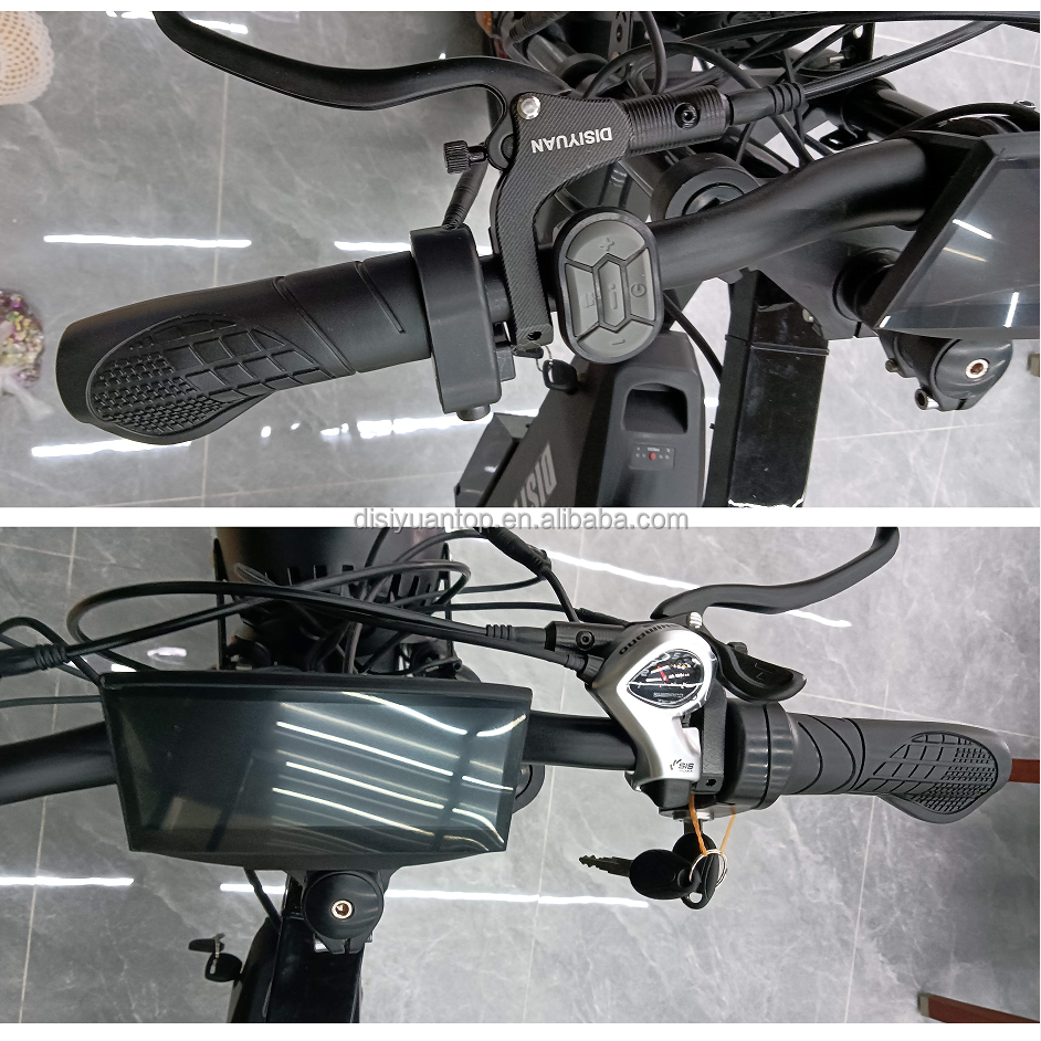 Disiyuan Full Suspension Retro Vintage E Bike S11 Ebike Dirt Mountain Fat Tire Bicycle Electric Bike Dule Motor Power 60V 2000W