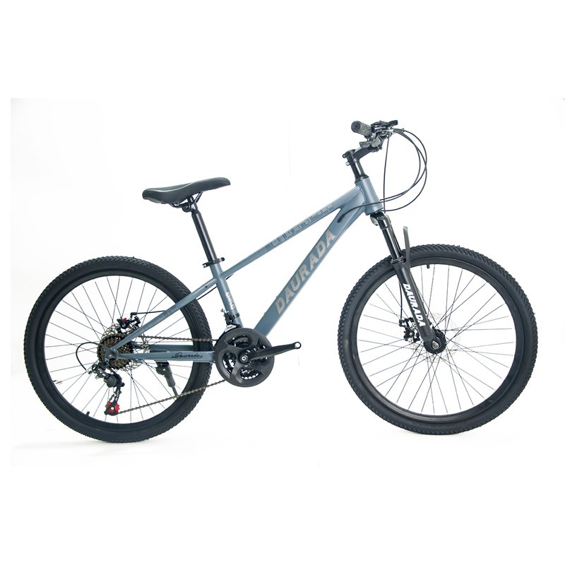 China Saiguan 24 Inch mountain bike Affordable Cheap Man's MTB Bike Cycle