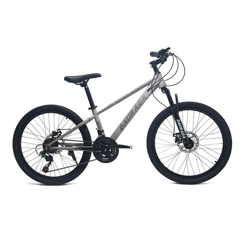 China Saiguan 24 Inch mountain bike Affordable Cheap Man's MTB Bike Cycle