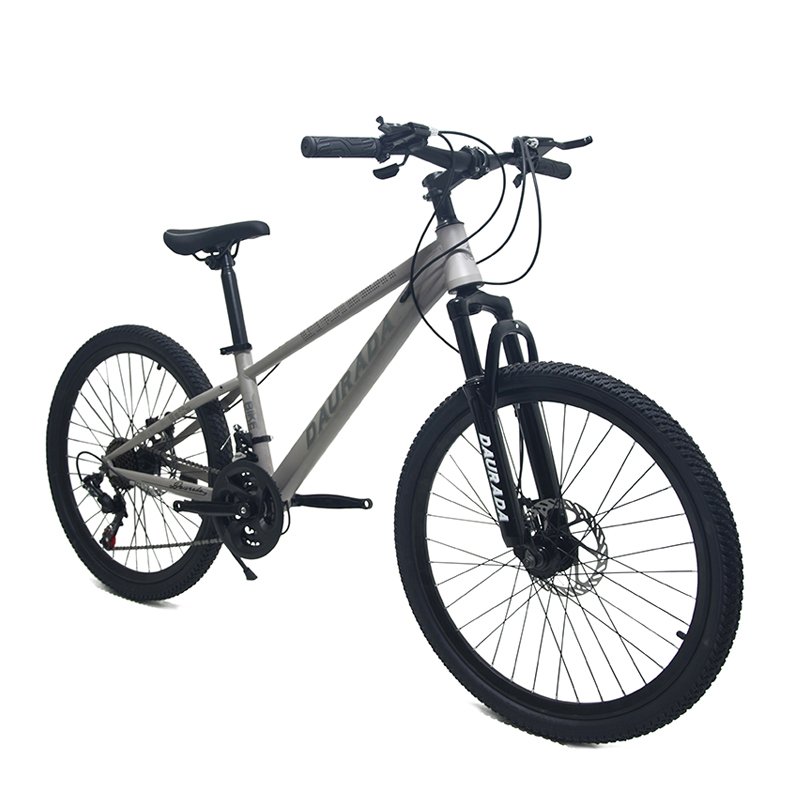 China Saiguan 24 Inch mountain bike Affordable Cheap Man's MTB Bike Cycle