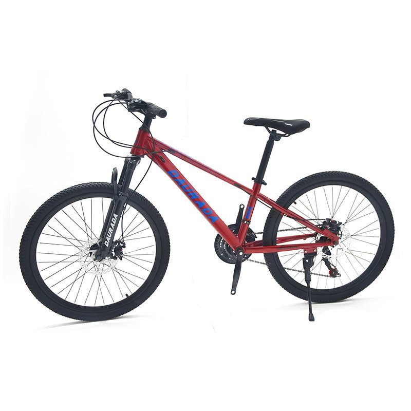 China Saiguan 24 Inch mountain bike Affordable Cheap Man's MTB Bike Cycle