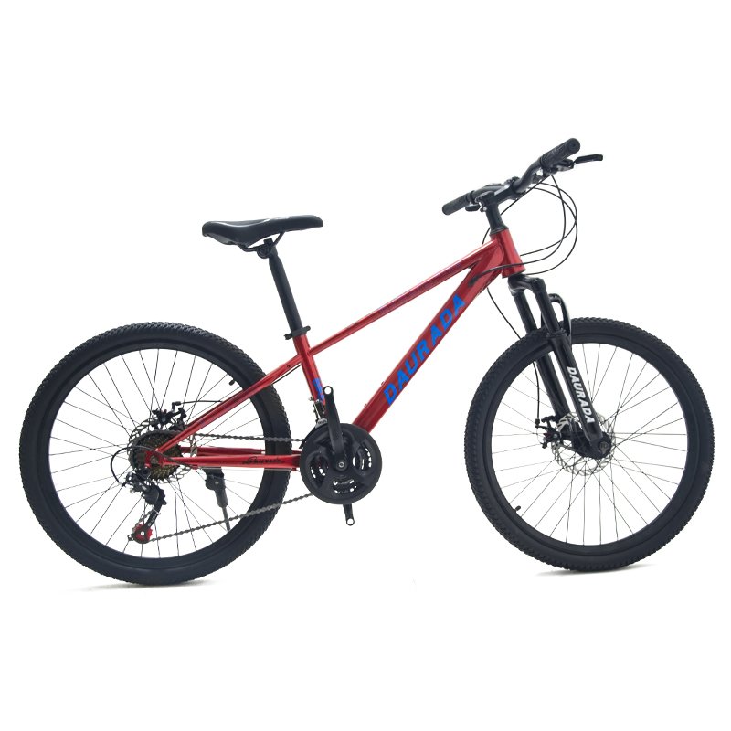 China Saiguan 24 Inch mountain bike Affordable Cheap Man's MTB Bike Cycle