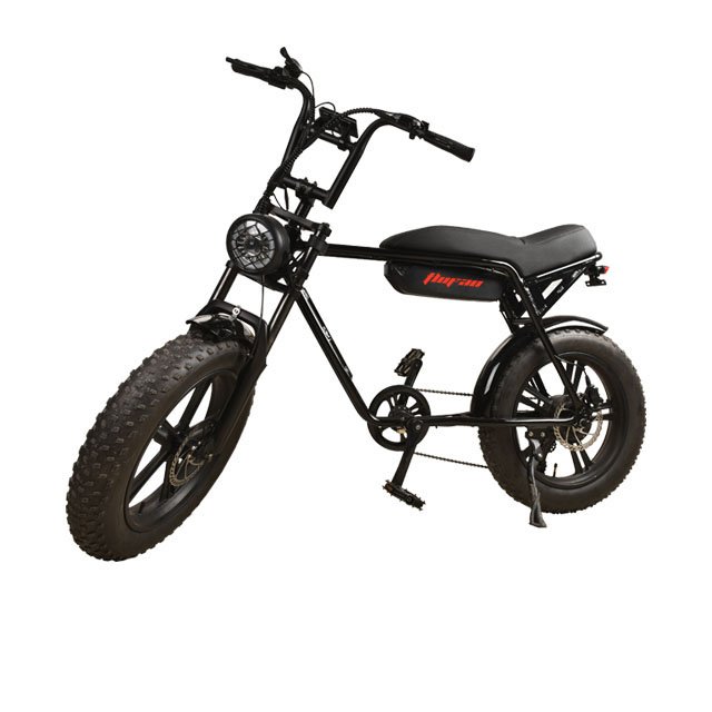 New super 20 Inch Beach Electric city bike 48v 500w-1000w electric bike
